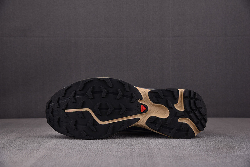 salomon xt-6 advanced