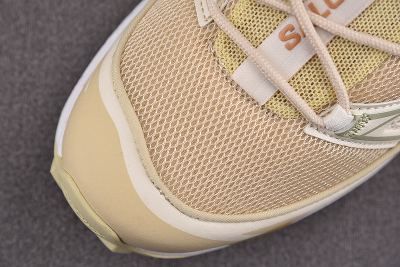 salomon xt-6 expanse cottage core