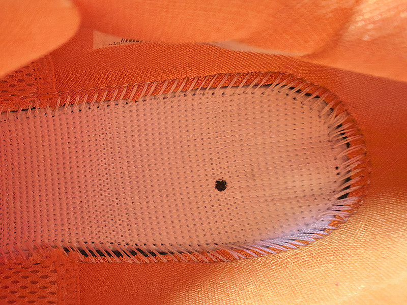 Nike Kobe 6 ASG Orange County Sunset 448693-800